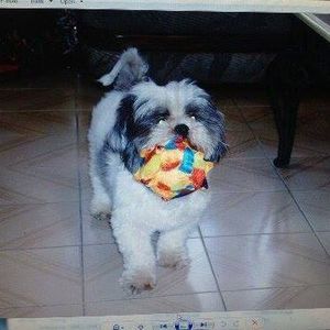 Meet your Posher, Maira